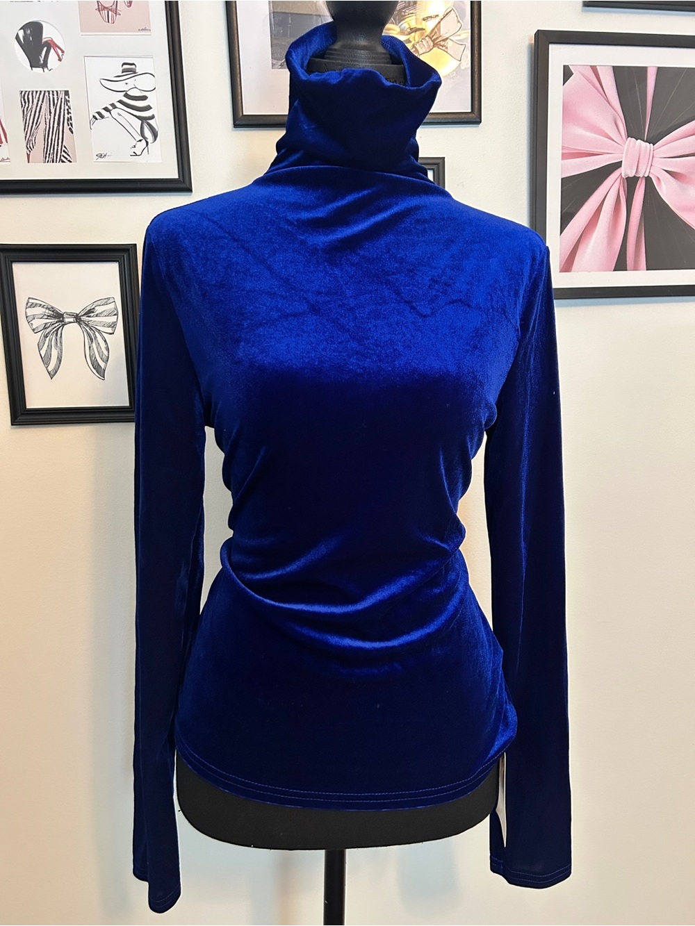 SHEIN Royal Blue Velvet Turtleneck Long Sleeve Top